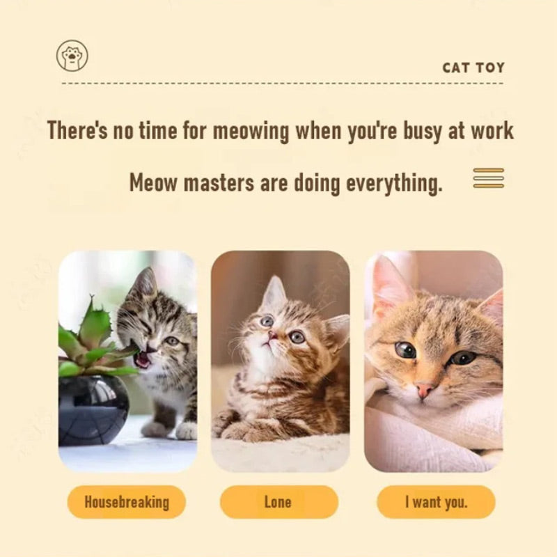 CatFury – Unleash Wild Playfulness