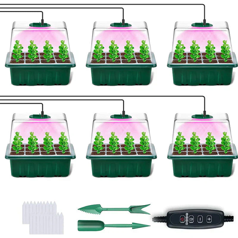 Seedling Success — Grow Faster, Grow Stronger