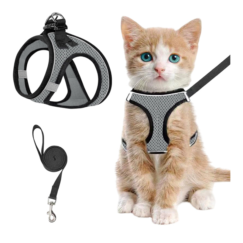 LumaTail Harness — Featherlight Freedom Secure