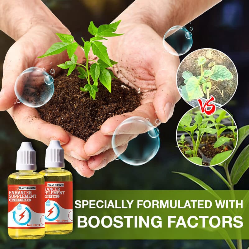 RootReign — Ignite Lush, Unstoppable Growth
