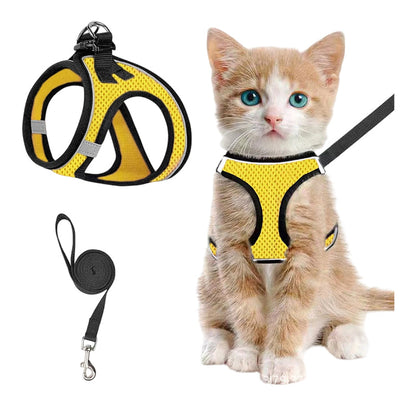 LumaTail Harness — Featherlight Freedom Secure