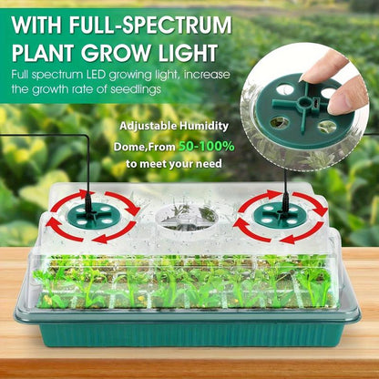 Seedling Success — Grow Faster, Grow Stronger
