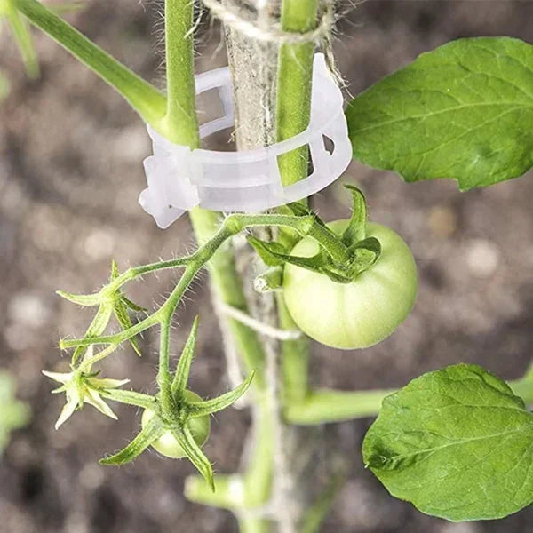 Plant Support Clips — Gentle Hold, Healthy Growth - 100 Pieces