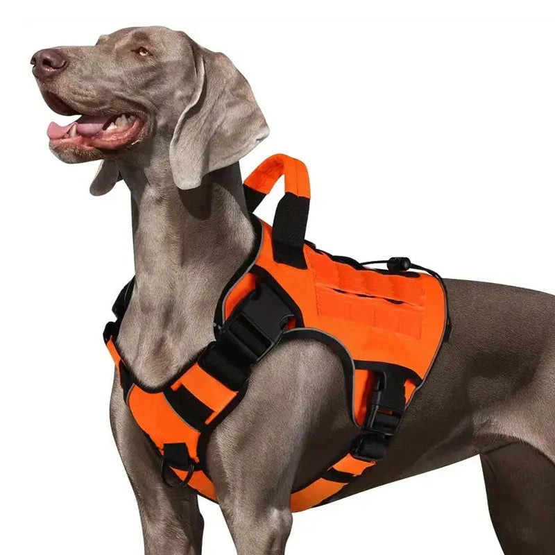 Active Dog Harness — Unstoppable Comfort Control