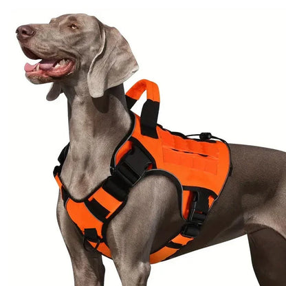Active Dog Harness — Unstoppable Comfort Control