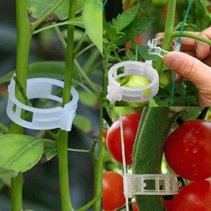 Plant Support Clips — Gentle Hold, Healthy Growth - 100 Pieces