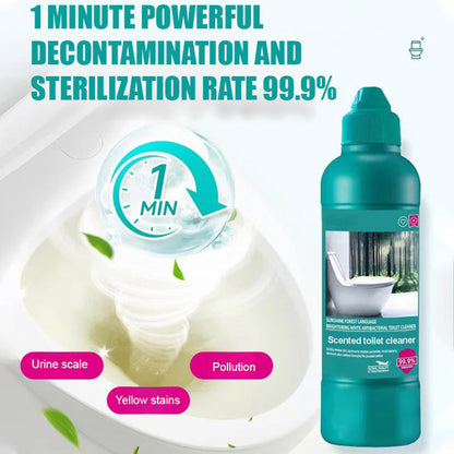 Bathroom Bliss 500ml — Effortless Shine Forever
