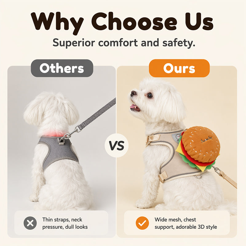 Hamburger + Harness + Leash — Comfort That Turns Heads
