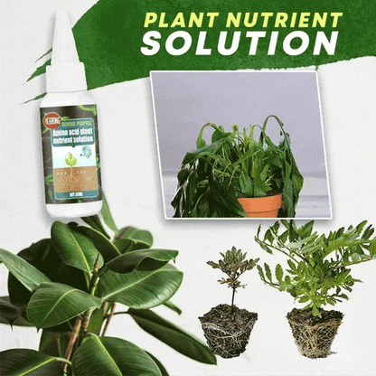 VitaBloom — Ignite Lush, Vibrant Growth