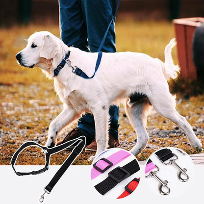 EverPaw Secure Harness — Calm, Safe, Confident