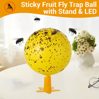 Fruit Fly Trap Star — Effortlessly Repel Annoying Pests