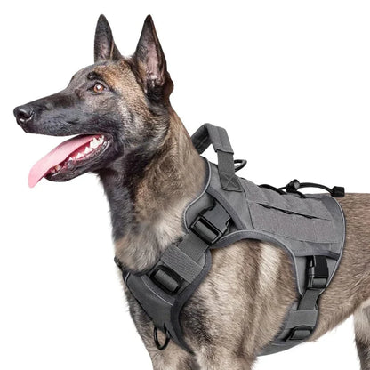 Active Dog Harness — Unstoppable Comfort Control