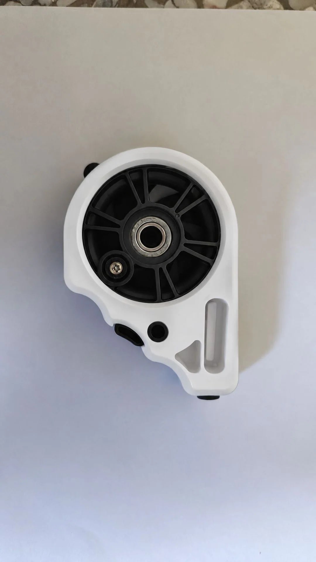 ReelRoam — Pesca más, en cualquier lugar