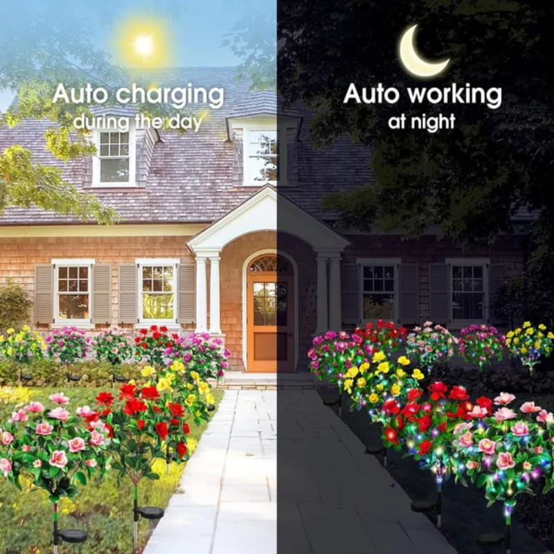 BloomLume – Instantly Transform Nights