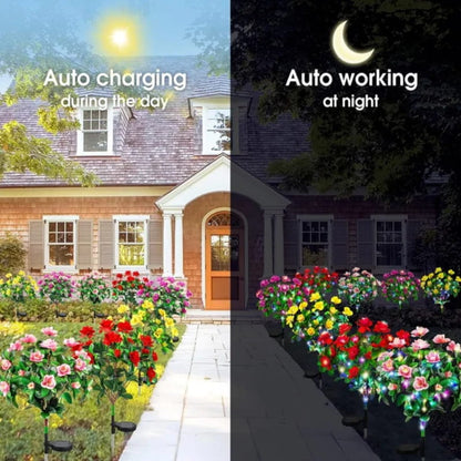 BloomLume – Instantly Transform Nights