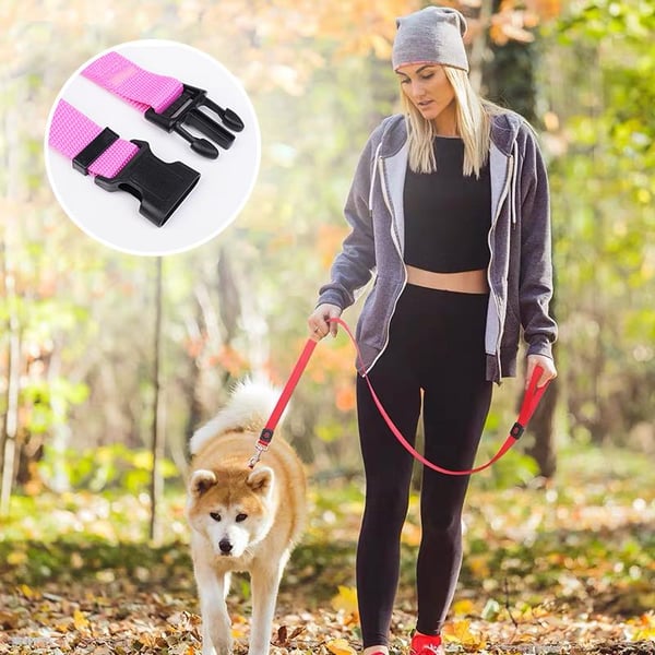 EverPaw Secure Harness — Calm, Safe, Confident