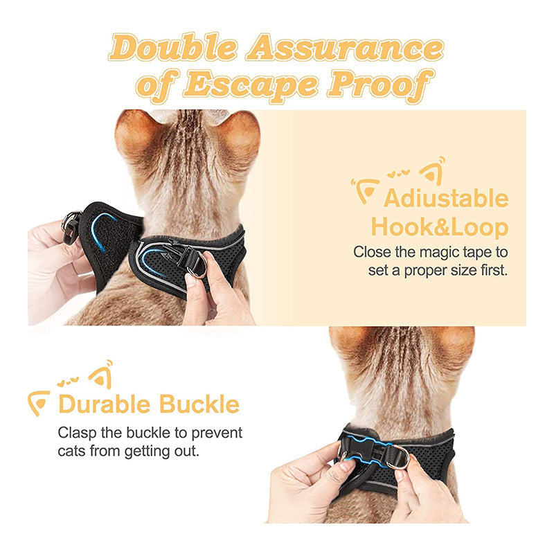 LumaTail Harness — Featherlight Freedom Secure