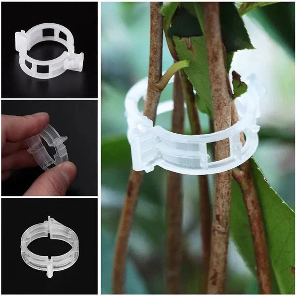 Plant Support Clips — Gentle Hold, Healthy Growth - 100 Pieces
