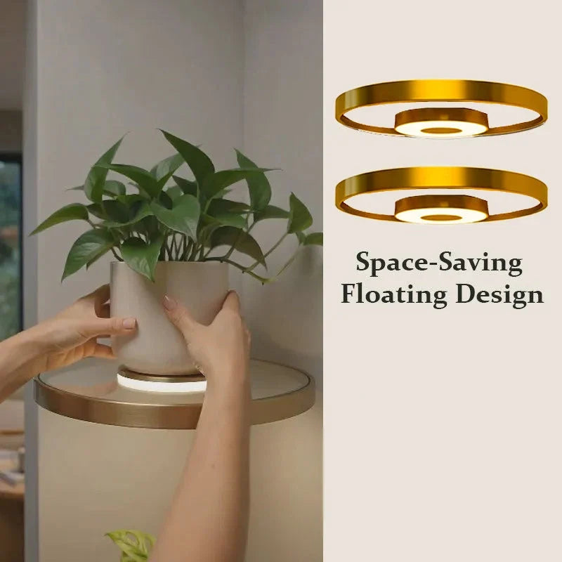 Glowing Gold Shelf — Warm Ambience, Instant Luxury