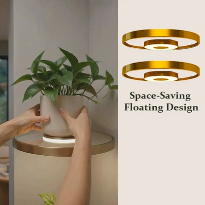 Glowing Gold Shelf — Warm Ambience, Instant Luxury