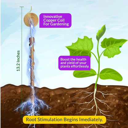 Copper Spiral Stake — Ignite Explosive Plant Growth