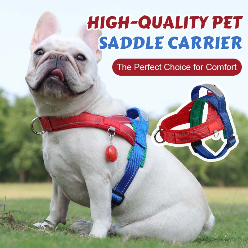 Total Comfort Harness — Stress-Free, Safe Walks