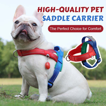 Total Comfort Harness — Stress-Free, Safe Walks