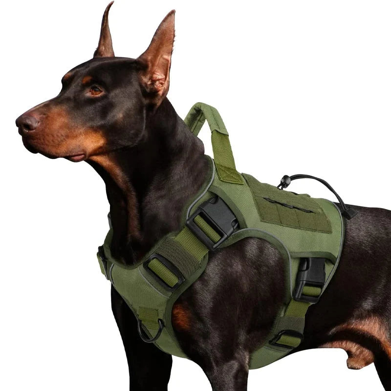 Active Dog Harness — Unstoppable Comfort Control