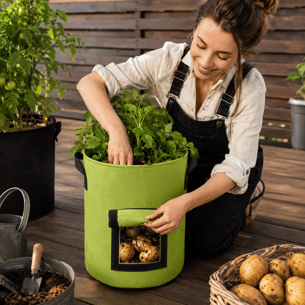 RootHarvest — Potato Grow Bags | 1+1 FREE