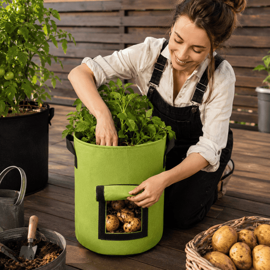 RootHarvest — Potato Grow Bags | 1+1 FREE