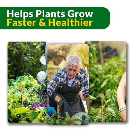 Copper Spiral Stake — Ignite Explosive Plant Growth