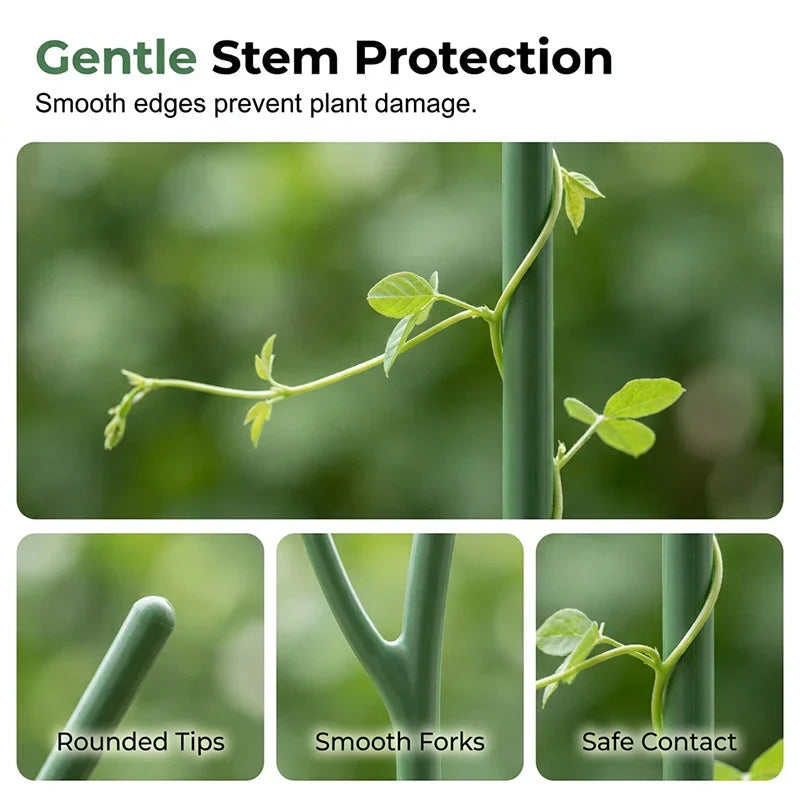 Vervanta Stakes — Natural Support, Stunning Growth