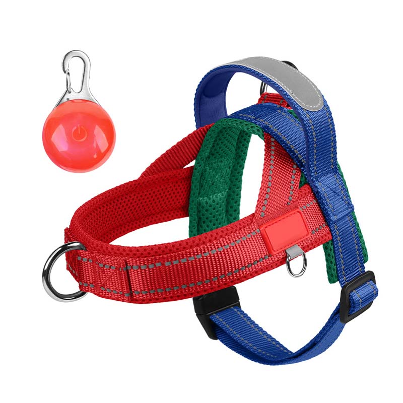 Total Comfort Harness — Stress-Free, Safe Walks