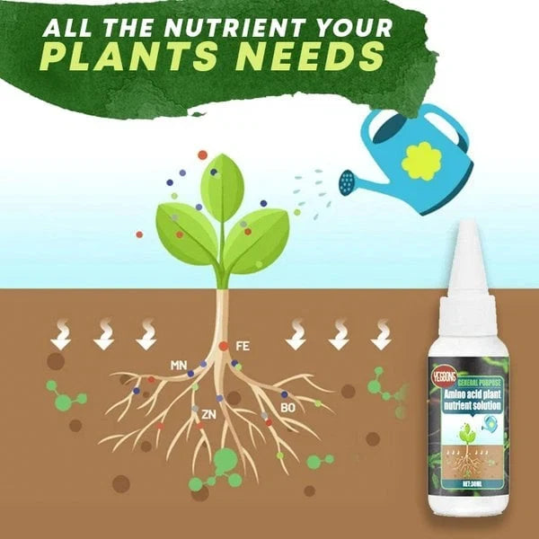 VitaBloom — Ignite Lush, Vibrant Growth