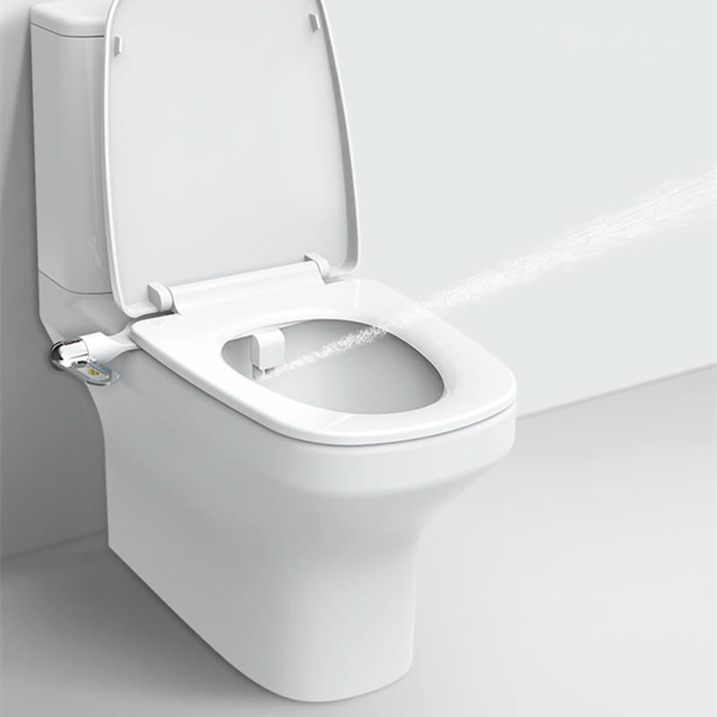 AquaPure DualFlow — Enhanced Clean Comfort