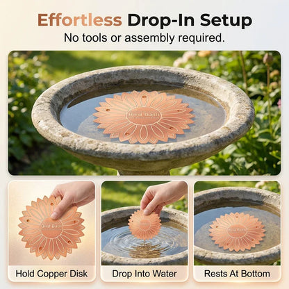 LumaPure Copper Disk — Pure Water, Happy Birds