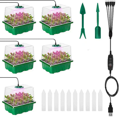 Seedling Success — Grow Faster, Grow Stronger