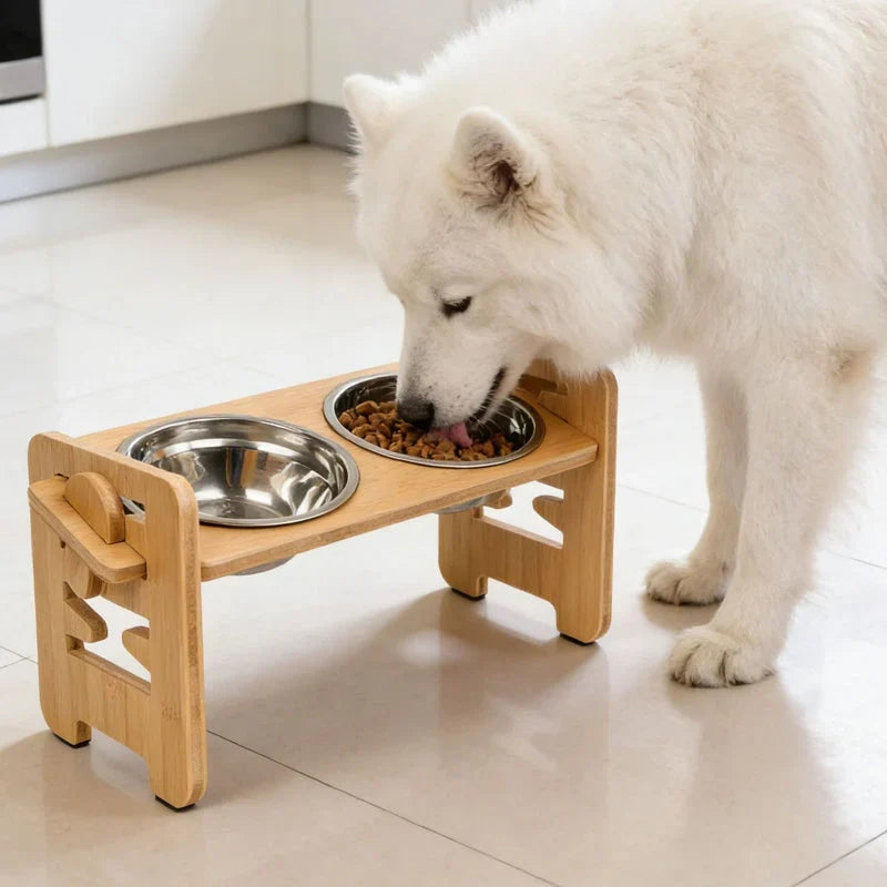 GlideBowl — Perfect Posture, Happy Pets