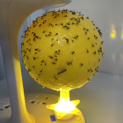 Fruit Fly Trap Star — Effortlessly Repel Annoying Pests