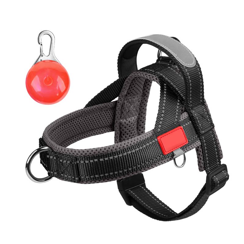 Total Comfort Harness — Stress-Free, Safe Walks