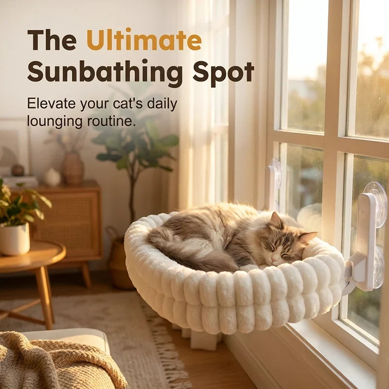 SunNest Cat Loft — Comfort, Safety, Bliss