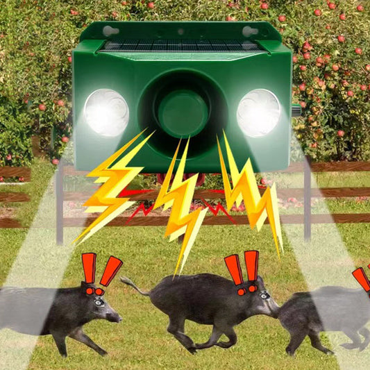 Solar-powered protective lights – Fearlessly defend your garden