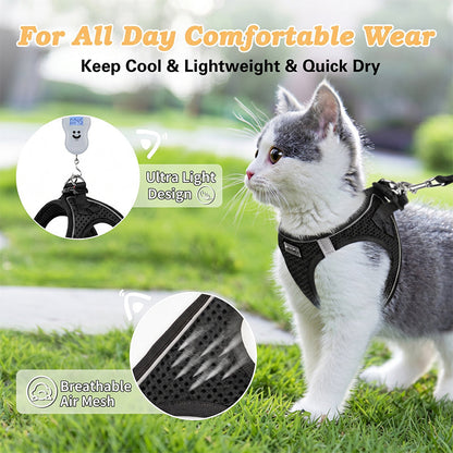 LumaTail Harness — Featherlight Freedom Secure