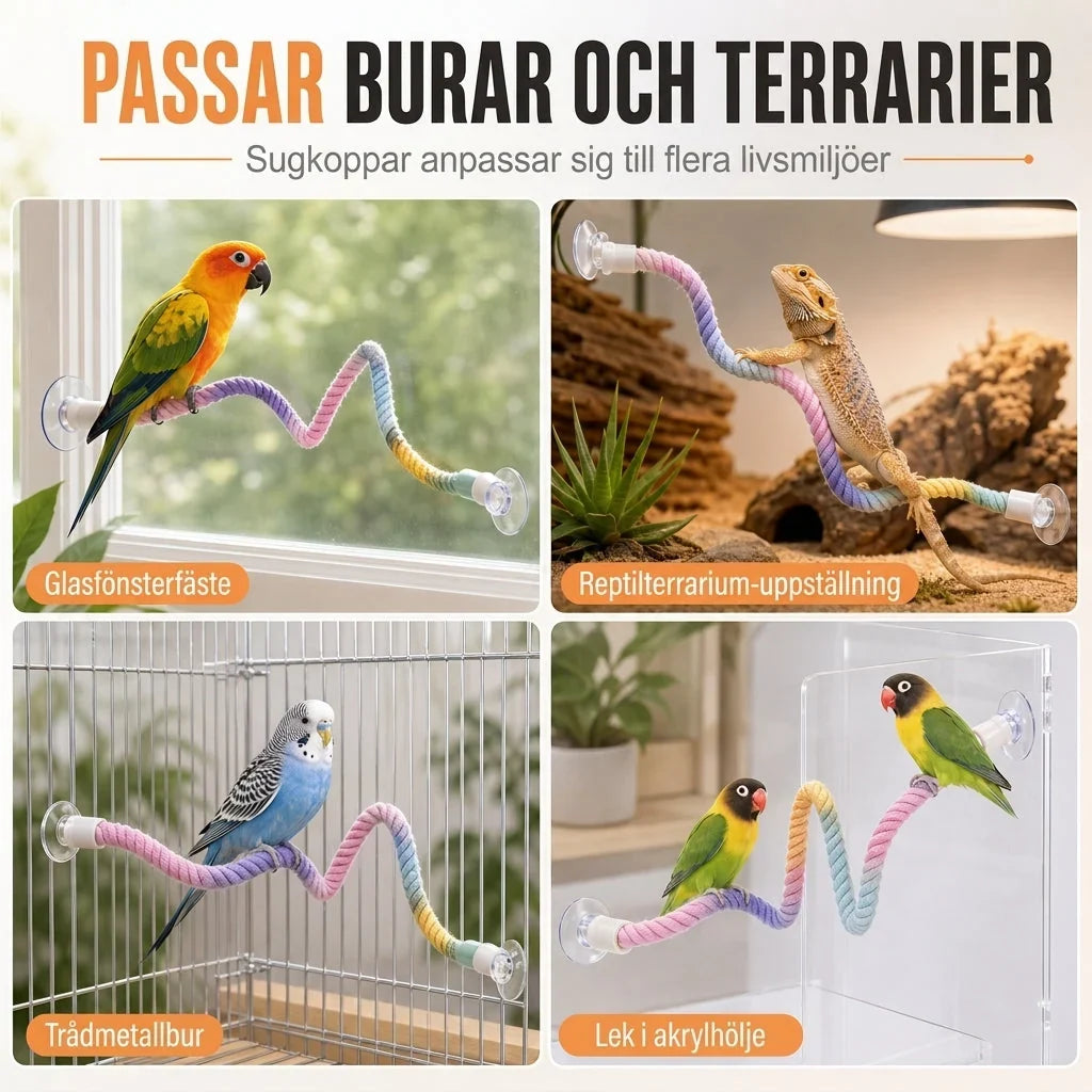 FeatherFlex Perch — Ultimate Comfort, Endless Fun