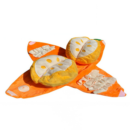 CitrusQuest – Ignite Curiosity, Increase Joy