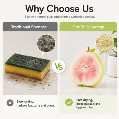 FruitBurst Sponge — Effortless Clean, Happy Hands