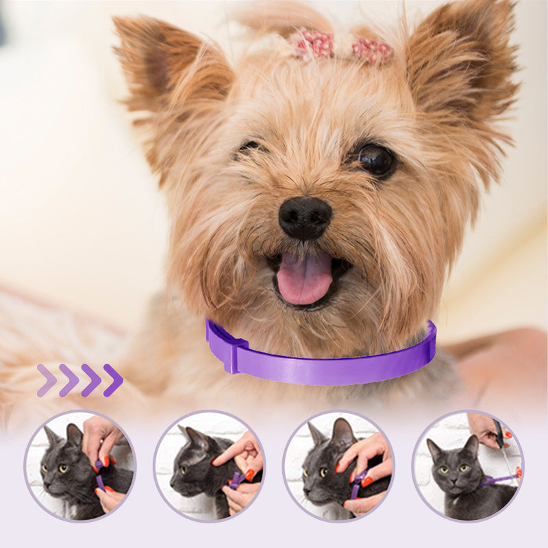 PurpleProwler Collar — Comfortable Protection, Mosquito-Free Enjoyment