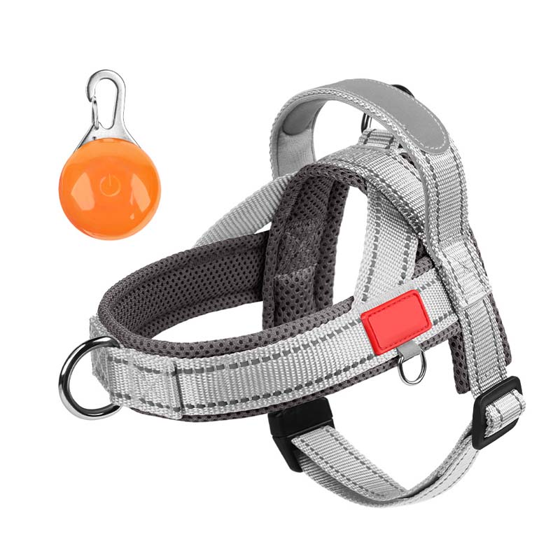 Total Comfort Harness — Stress-Free, Safe Walks