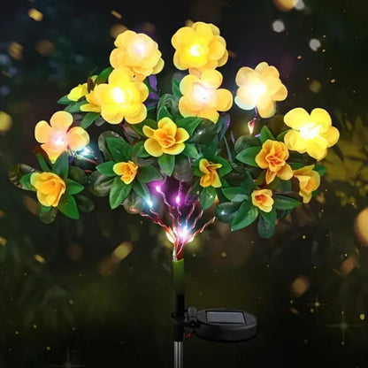 BloomLume – Instantly Transform Nights