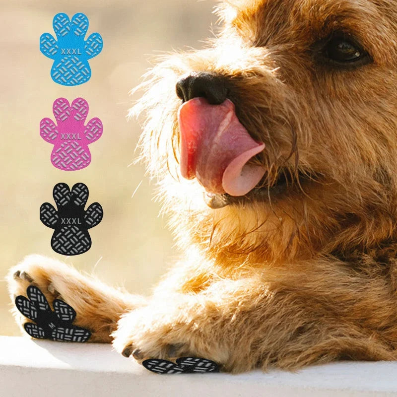 PawTread — כפות בטוחות בכל מקום